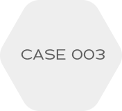 CASE003